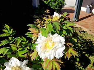  Maison  vendre 7 pices 180 m