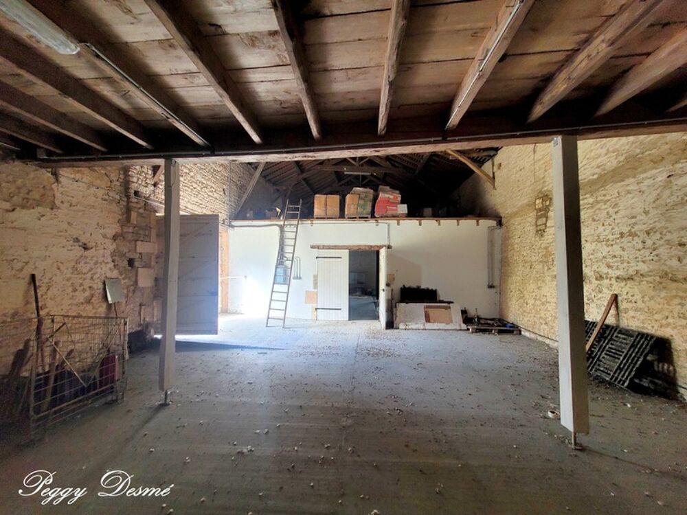  vendre  Proprit/chteau Saint-Jean-d'Angly (17400)