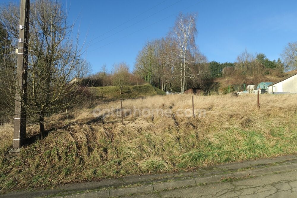 Vente Terrain BEAU TERRAIN DE 30 ARES Pierrepont