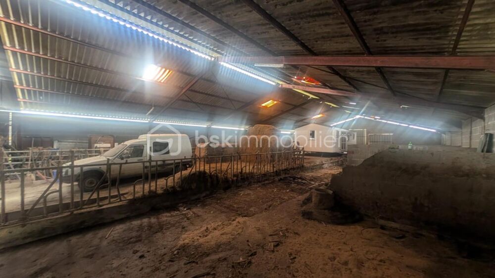 Hangar agricole 490 m² bétonné avec parking  Le Busseau (79)