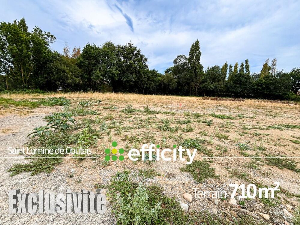 Vente Terrain Terrain Saint lumine de coutais