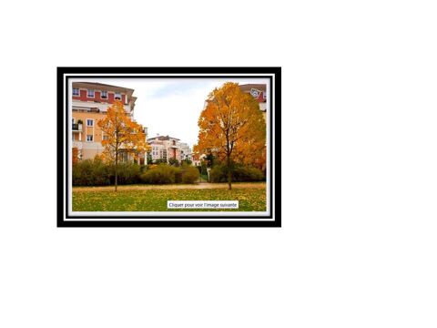  Appartement � louer 3 pi�ces 54 m�