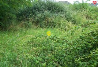  Terrain � vendre 4295 m�