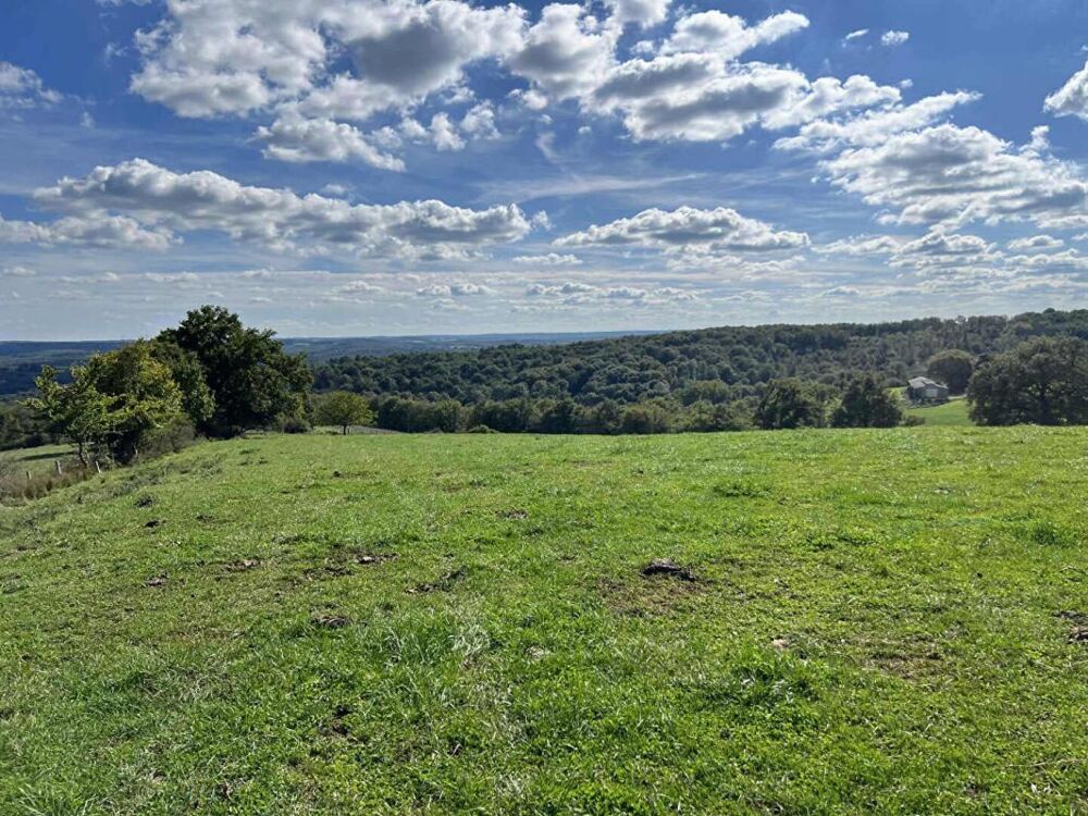 Vente Propriété/Château Maison de maître Excideuil 5 pièce(s) 150 m2 et ses 36ha de terres Excideuil
