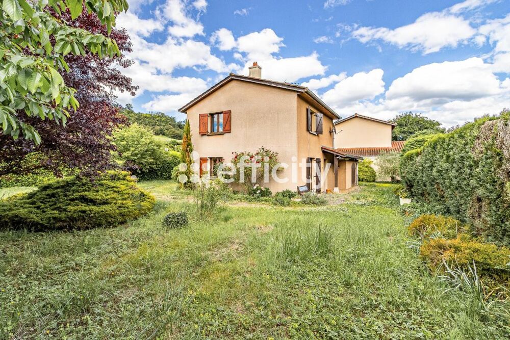 Vente Villa Villa Chessy