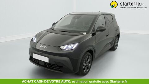 Dolphin SURF 43.2 kWh 156 ch Comfort 2025 occasion 69190 Saint-Fons