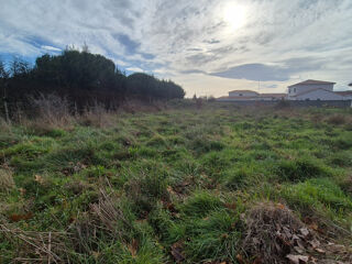  Terrain à vendre 1274 m²