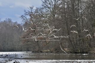  Propri�t�/ch�teau � vendre 15 + pi�ces 800 m�