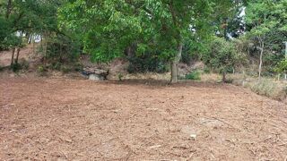  Terrain � vendre 603 m�