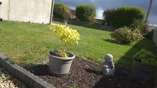  Maison � vendre 7 pi�ces 109 m�