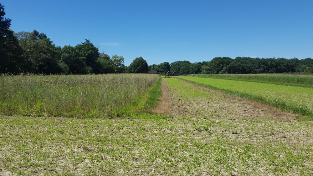 � vendre  Propri�t�/ch�teau Brinon-sur-Sauldre (18410)