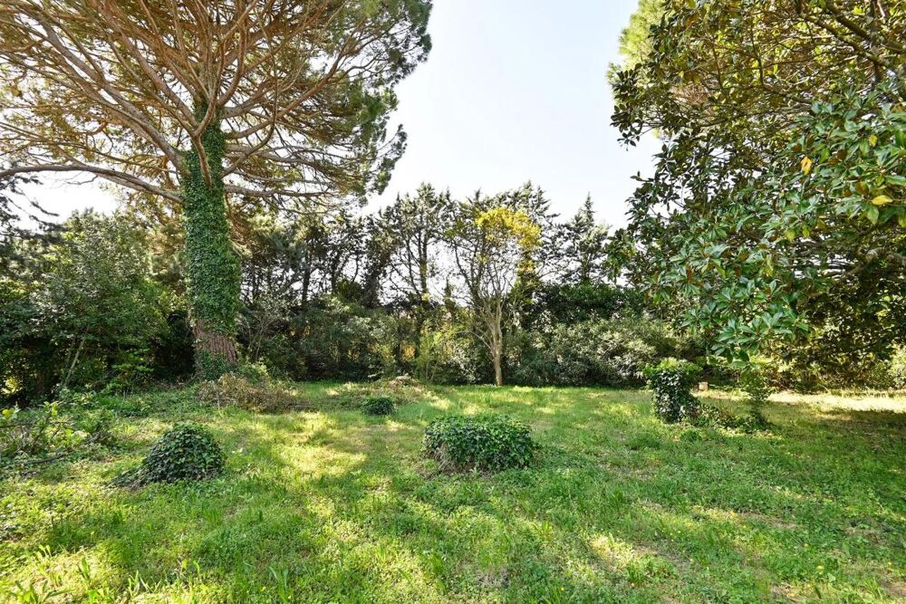 � vendre  Propri�t�/ch�teau Saint-Paul-les-Fonts (30330)