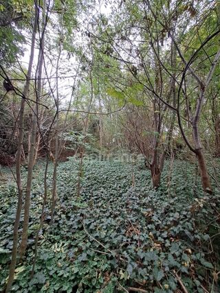  Terrain � vendre 811 m�