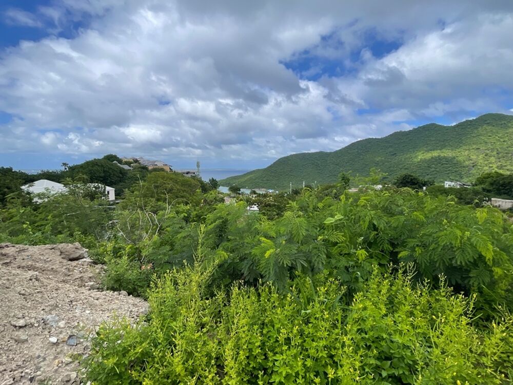 Vente Terrain TERRAIN CONSTRUCTIBLE À VENDRE AVEC VUE MER ET MARINA D'ANSE MARCEL, SAINT MARTIN (97150) Saint martin