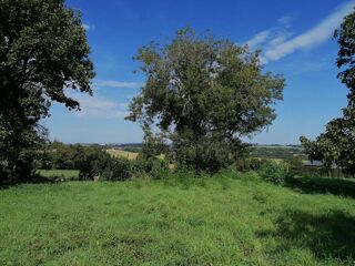  Terrain à vendre 800 m²