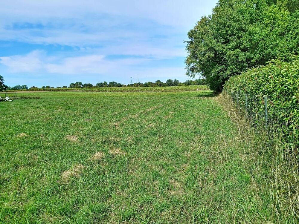 Vente Terrain TERRAIN A BATIR DE 1 222 M² – CALME, NATURE ET PROXIMITÉ DE PONS 39000€ Mazerolles