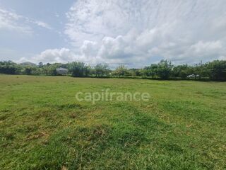  Terrain à vendre 1000 m²