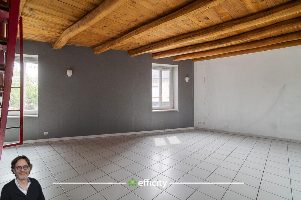 Vente Appartement Appartement Villette d anthon