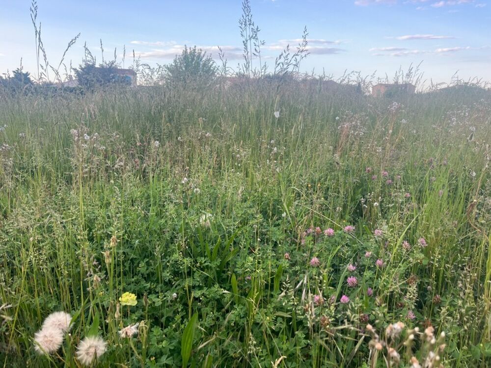 Vente Terrain Dpt Bouches du Rhône (13), à vendre FONTVIEILLE terrain 750m2 Fontvieille