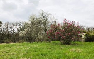  Maison � vendre 6 pi�ces 175 m�