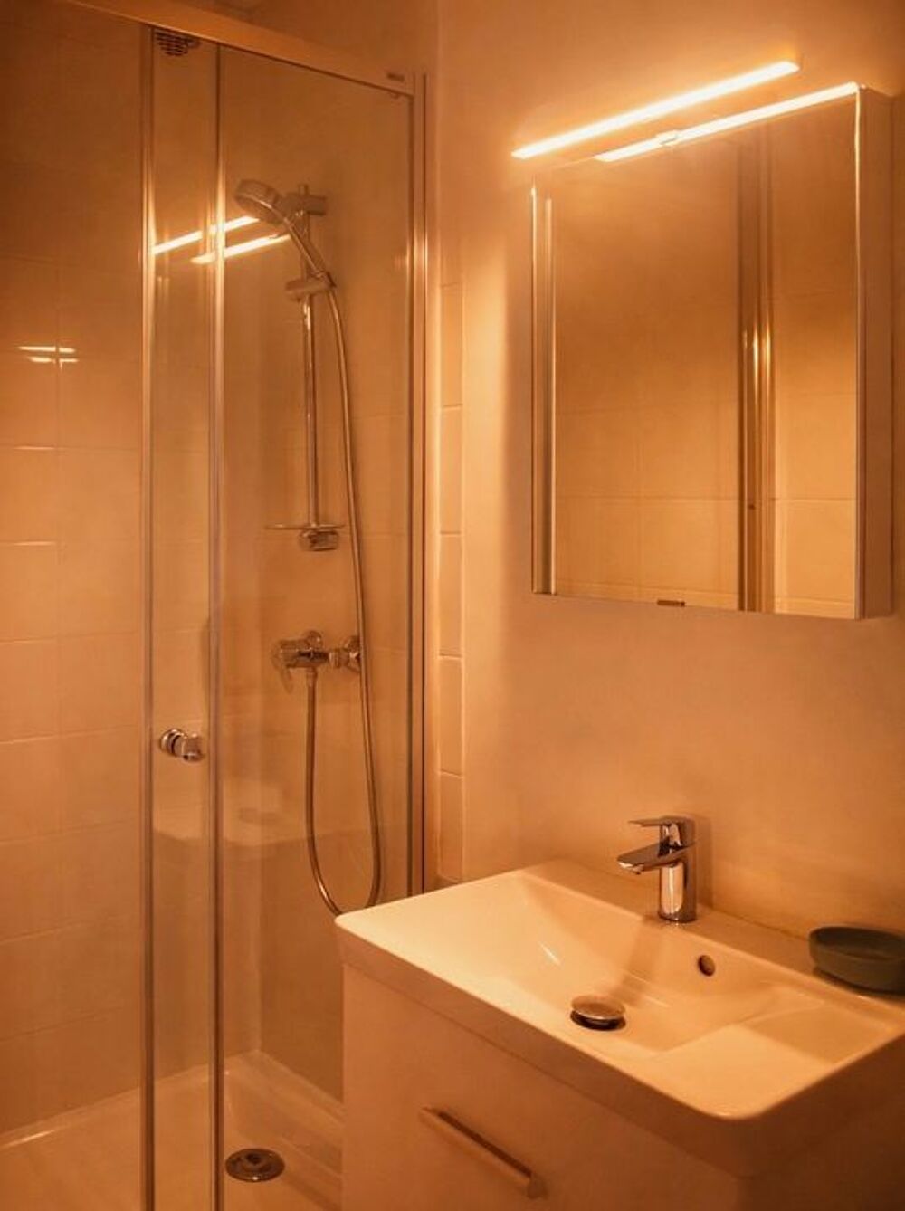 Location Appartement Studio de 21m2 à louer sur Saint-Maur-des-Fossés Saint maur des fosses