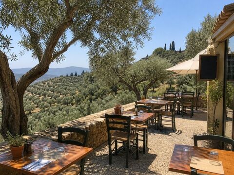 Restaurant de charme en pleine nature – EBE ~100 K€ – Fort potentiel de d&eacute;veloppement &agrave; 30 min de B&eacute;ziers (34) 97000 34500 Beziers