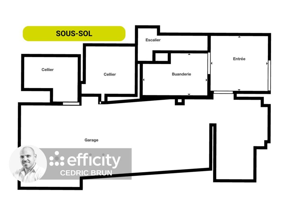 � vendre  Chalet Passy (74190)