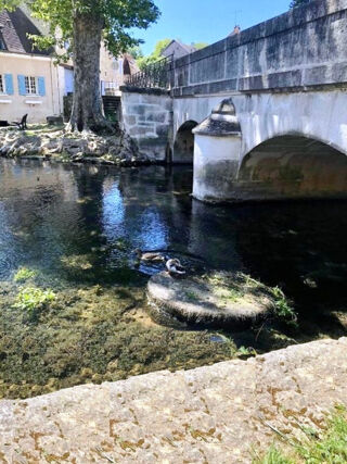  Immeuble � vendre 15 + pi�ces 1485 m�