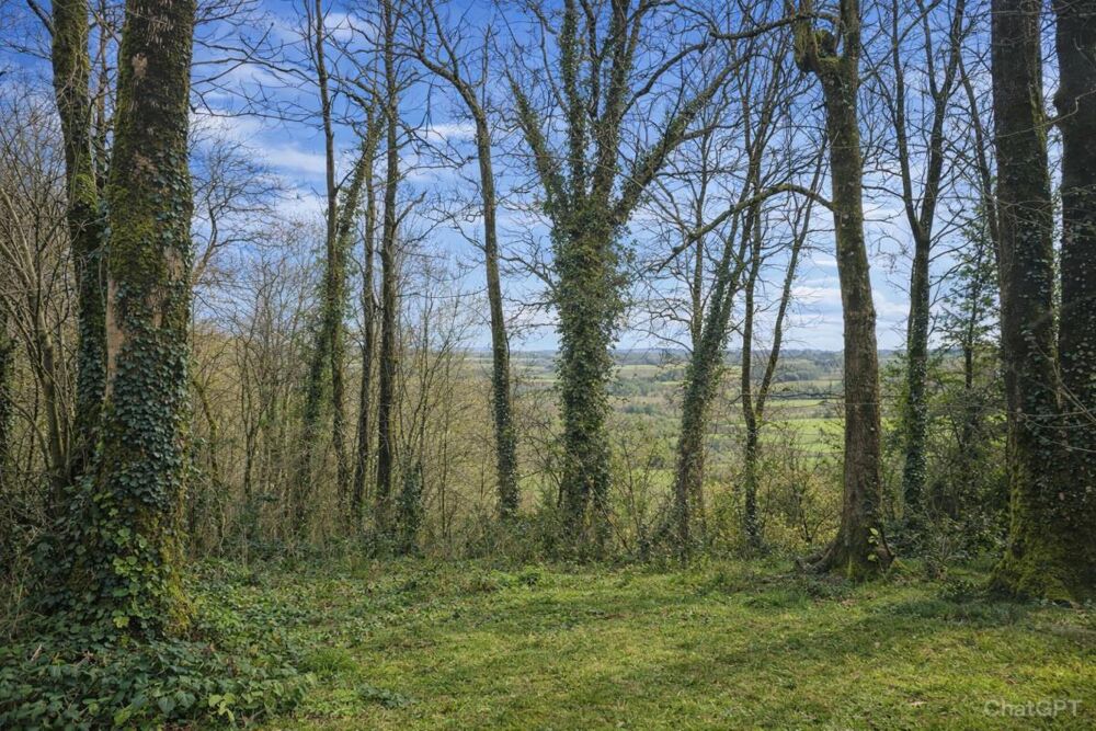Maison Le Mene Bel environnement