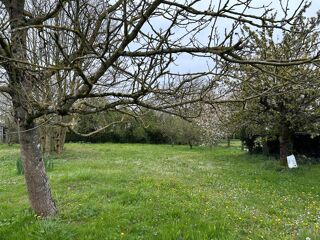  Maison � vendre 4 pi�ces 125 m�