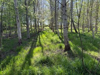  Terrain � vendre 1 pi�ce 5230 m�