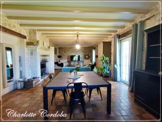  Maison � vendre 10 pi�ces 313 m�