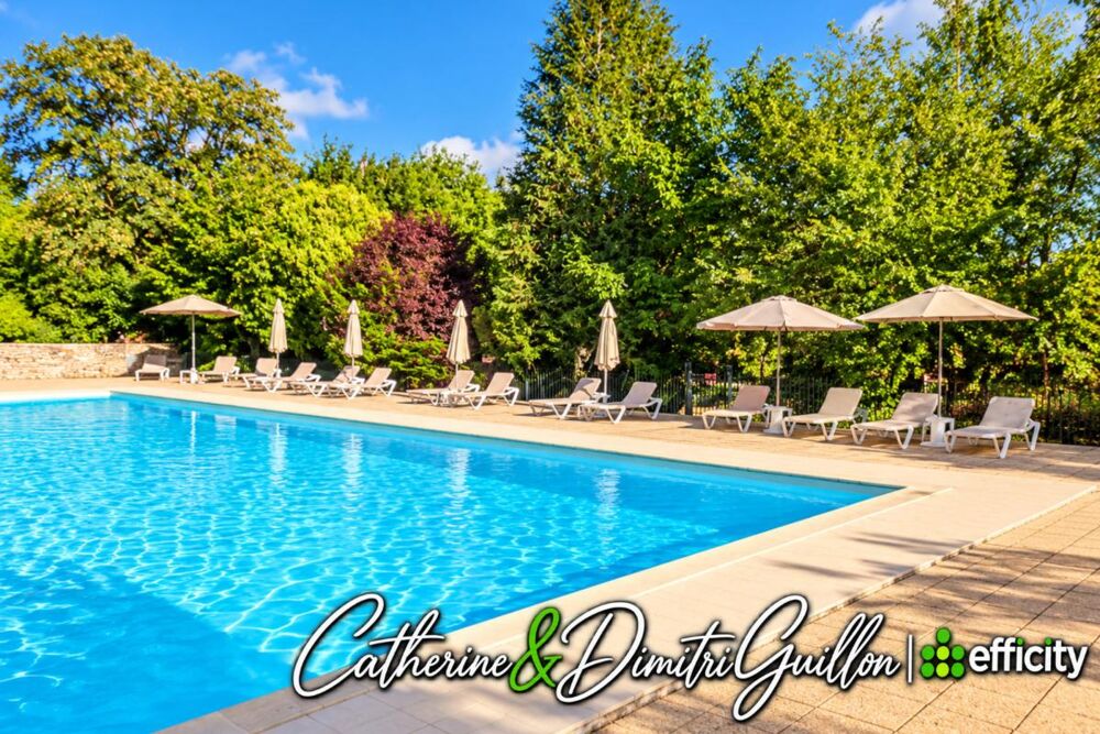 à vendre  Propriété/château Vouillé (86190)