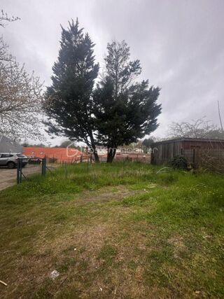  Duplex/triplex � vendre 2 pi�ces 33 m�