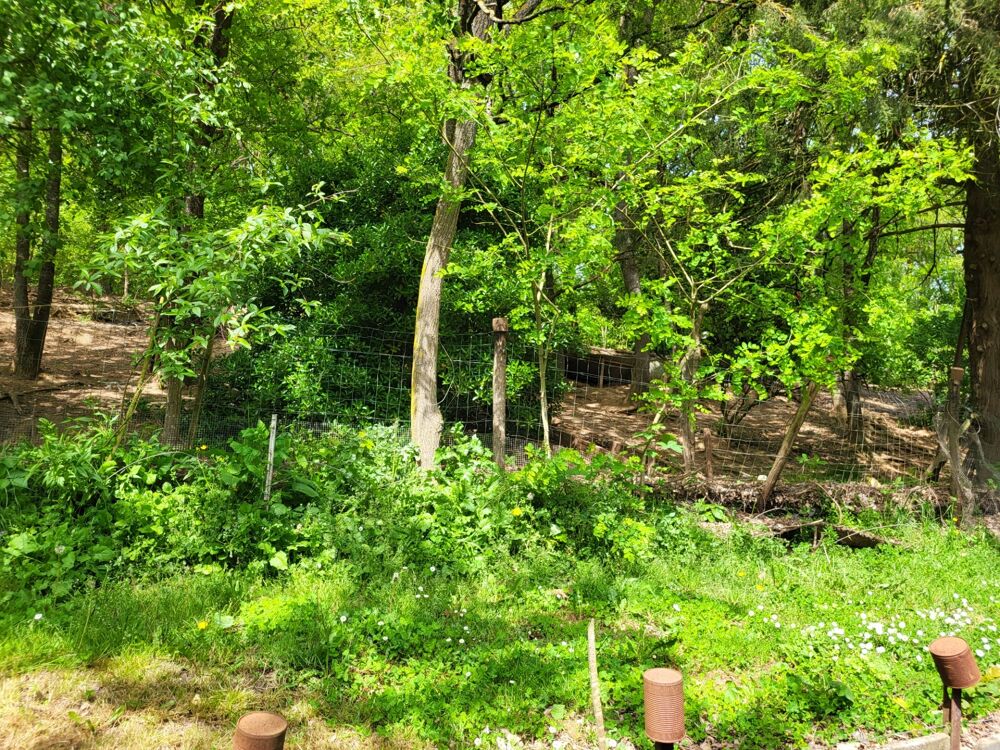 Vente Maison Maison à vendre 5 pièces SAINT LOUP LAMAIRE (79) Terrain 3138 m² Saint loup lamaire