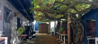  Immeuble � vendre 15 + pi�ces 450 m�