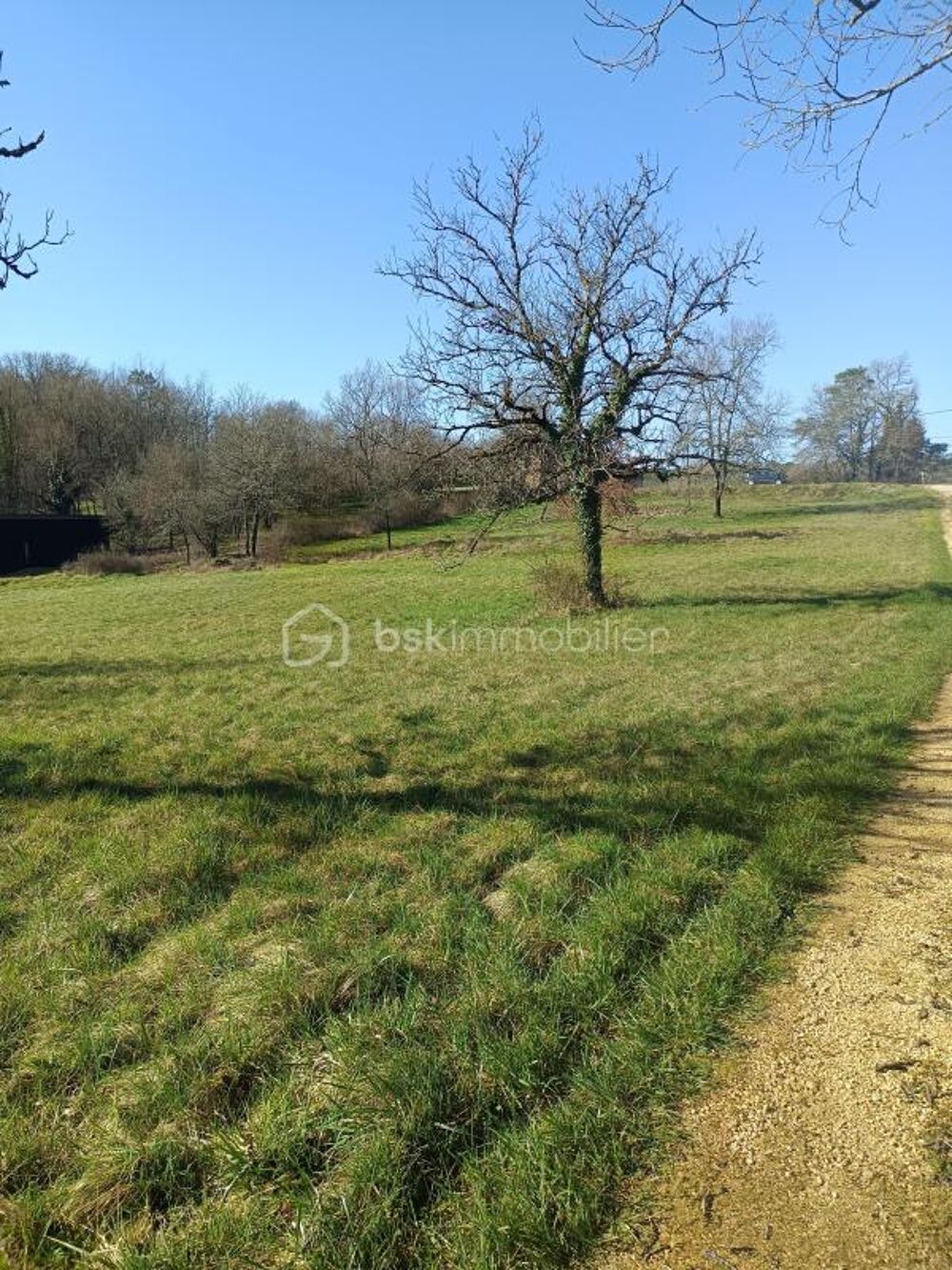 Vente Terrain Grand terrain à bâtir de 4 689 m² à Tourtoirac Tourtoirac