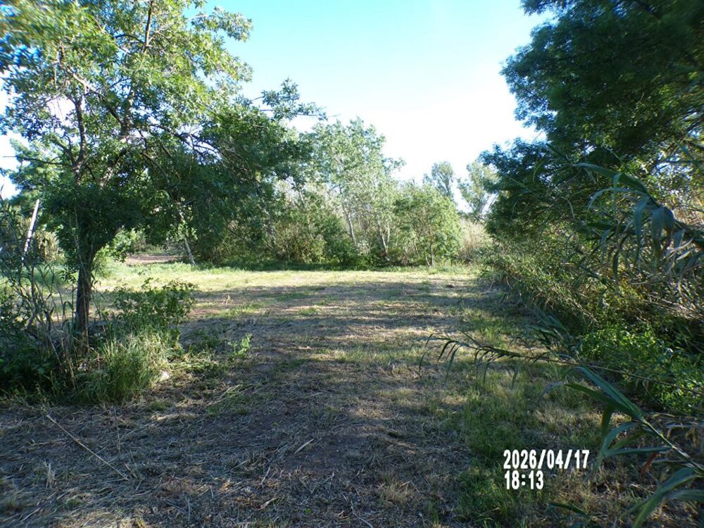 Vente Terrain Terrain à bâtir de 3826 m2 avec ou sans maison Fabrezan