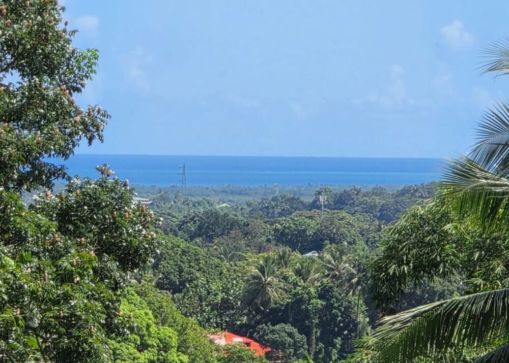 Vente Maison Très belle propriété VUE MER avec dépendances et piscine PETIT BOURG (971) Petit bourg