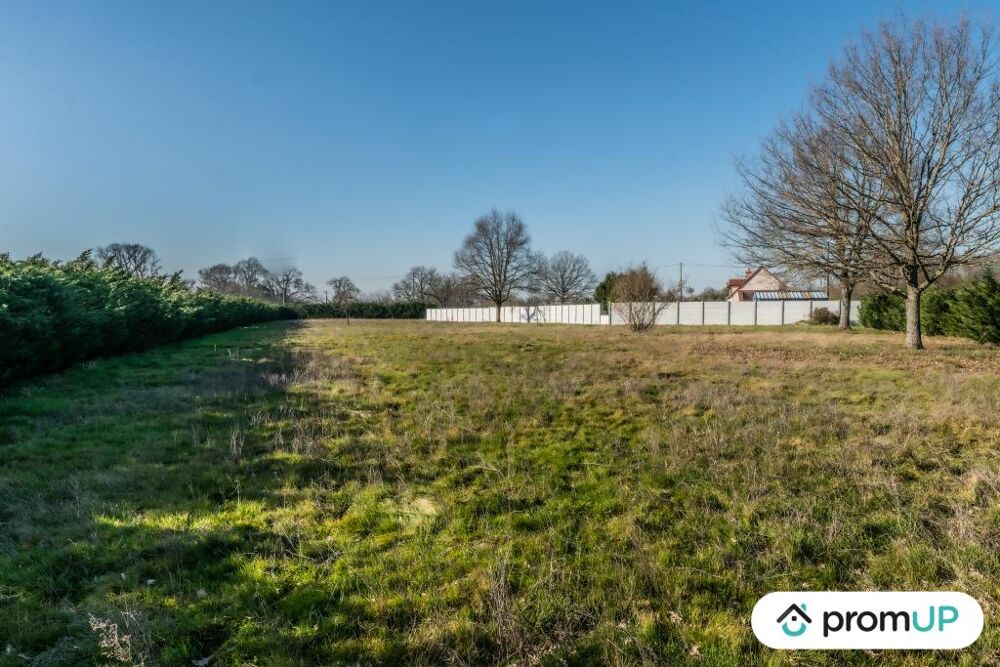 Vente Terrain Terrain constructible de 1128 m2  Vierzon Vierzon