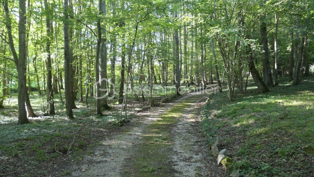  vendre  Maison Boissy-le-Chtel (77169)