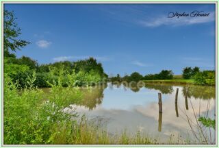  Terrain  vendre 31710 m
