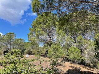  Terrain � vendre 6375 m�