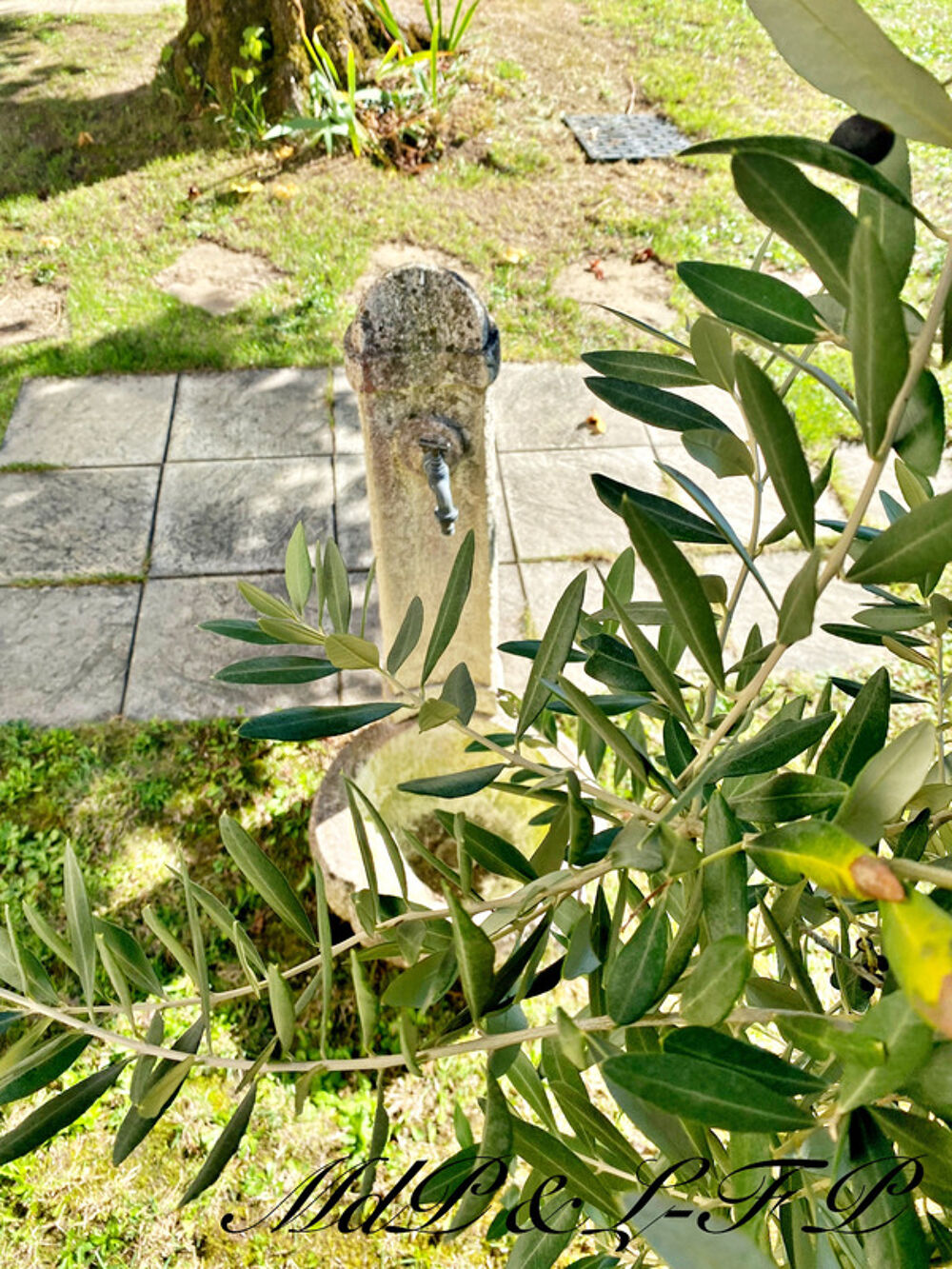  vendre  Maison Saint-Gens-de-Castillon (33350)