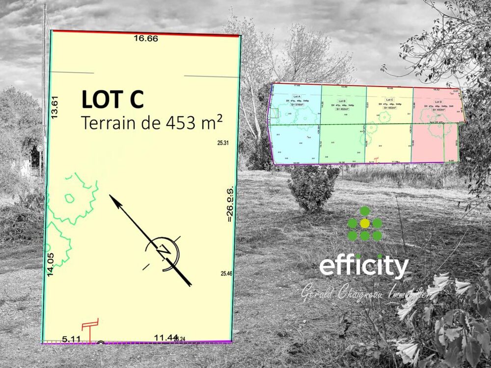 Vente Terrain Terrain Saint lumine de coutais