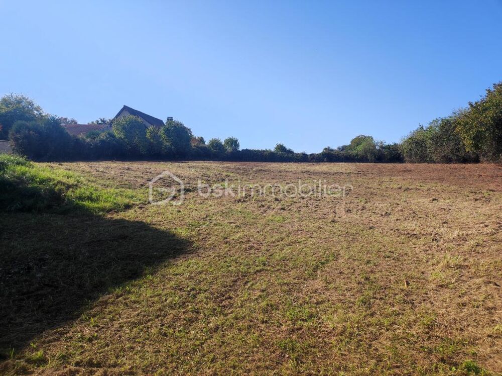 Vente Terrain ? Terrain constructible de 2 514 m² avec grange – Cadre naturel et beau potentiel Champlost
