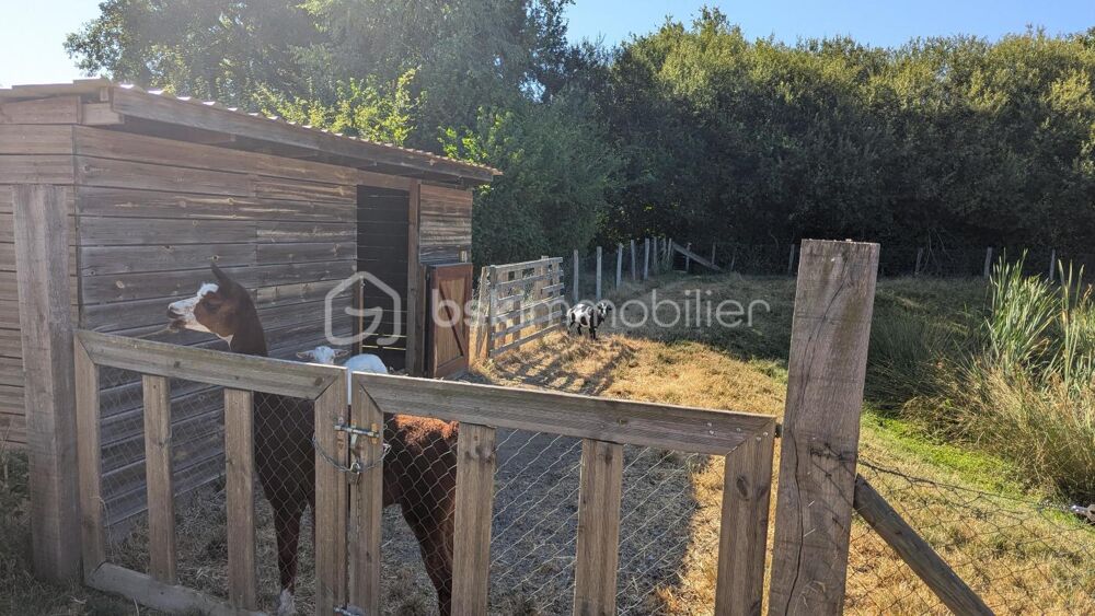 Vente Terrain TERRAIN A BATIR Cottance