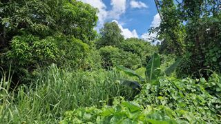  Terrain � vendre 697 m�