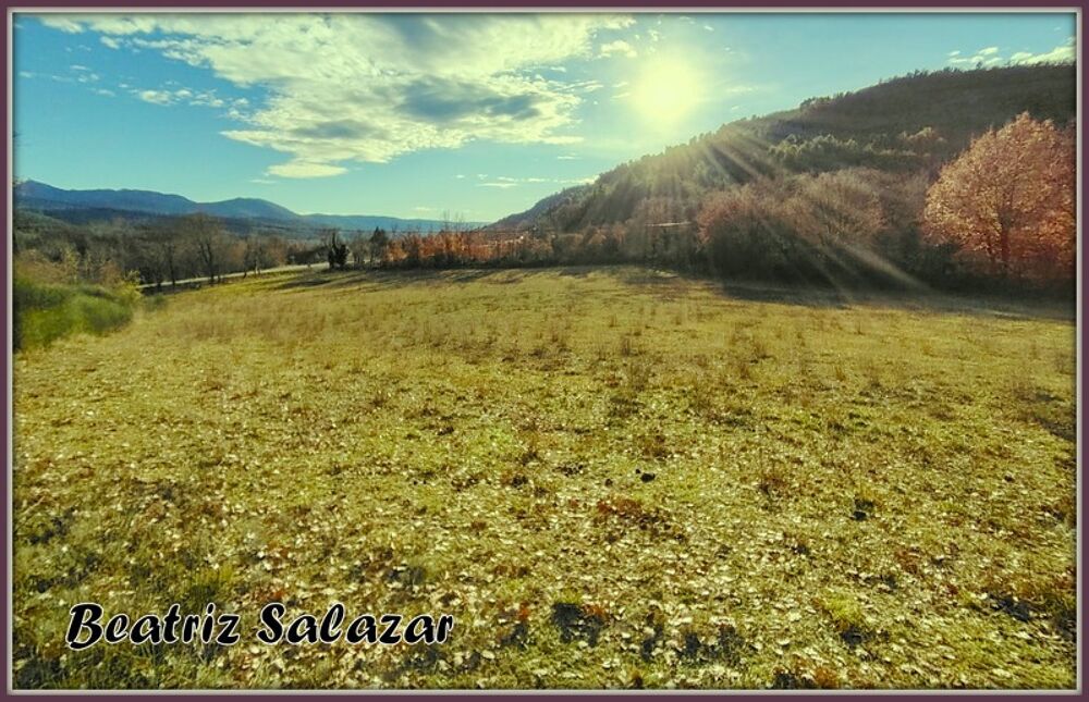Vente Terrain A vendre à 10mn de Digne-les-Bains, terrain à bâtir de 16 523,00 m² MEZEL (04) Mezel