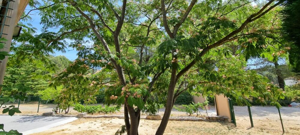 Vente Maison GRANDE VILLA DE PLAIN PIED  T5 sur 1400 m² de terrain piscinable Cuges les pins
